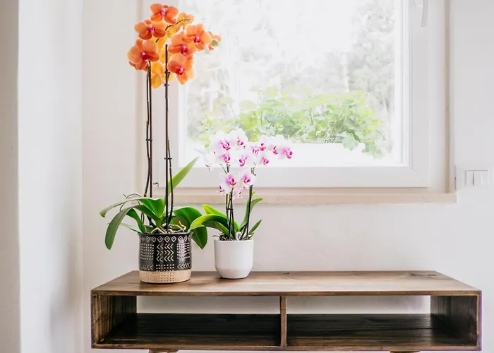 Bed & Breakfast Fontanella 32 Porto SantʼElpidio