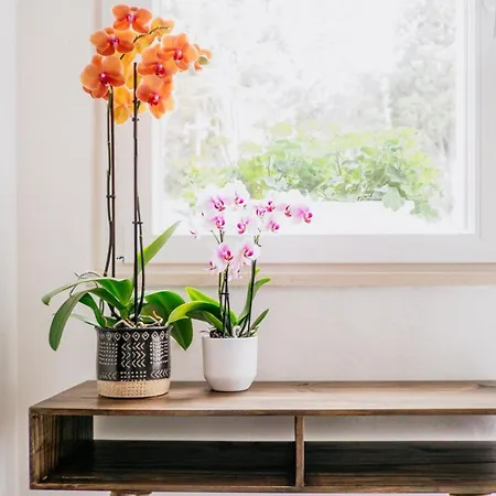 Bed & Breakfast Fontanella 32 Porto SantʼElpidio