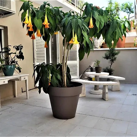 Fontanella 32 Frühstückspension Porto SantʼElpidio